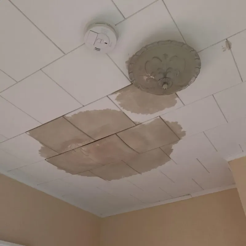Ceiling Water Damage Repair in Marine City, MI
