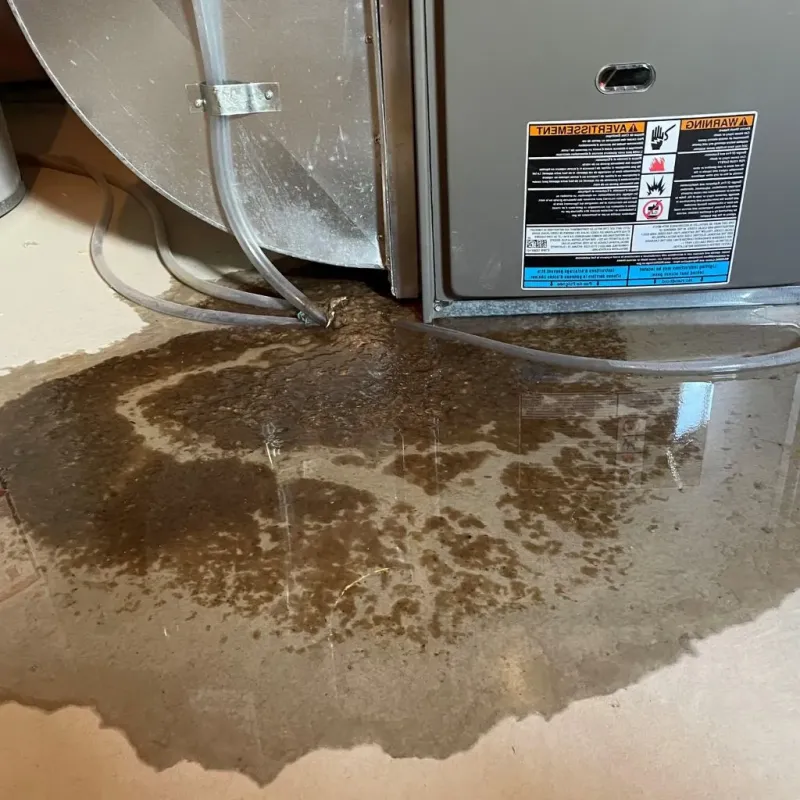 Pipe Burst and Leak Restoration in Marine City, MI
