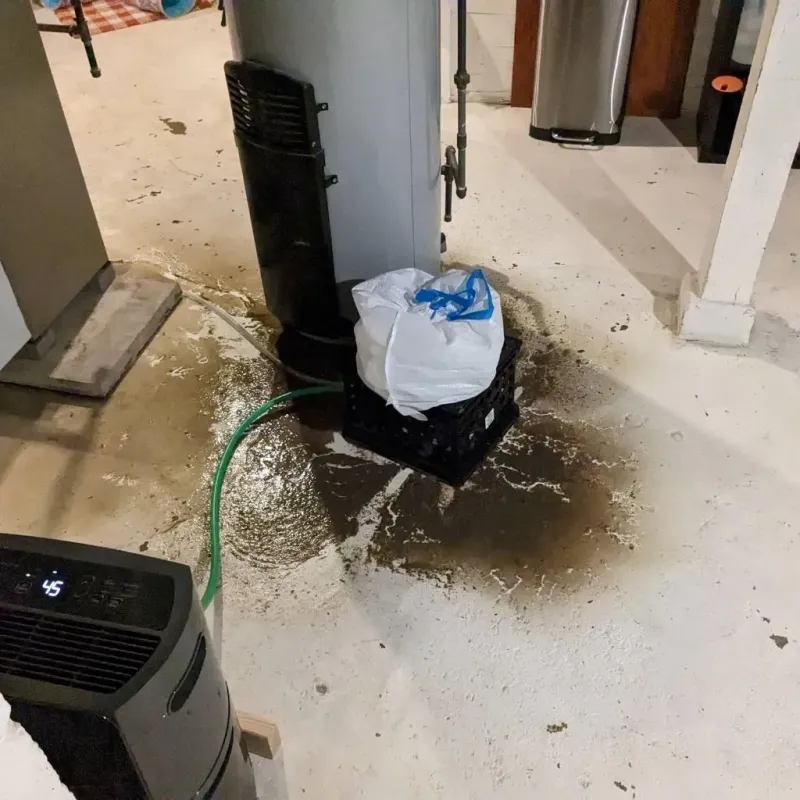 Sewage Backup Cleanup Service in Marine City, MI